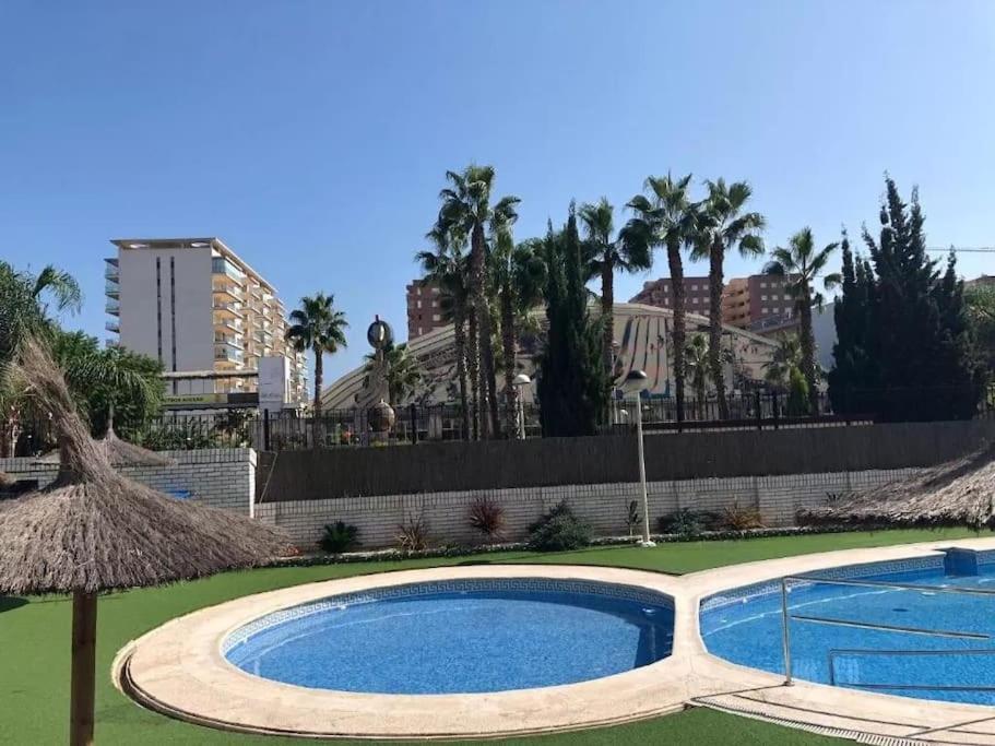 Appartement Excelente Ubicacion En Marina D'or *